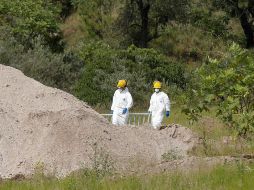 Dos de los cadáveres localizados estaban en proceso de momificación, y uno en avanzado estado de putrefacción. EL INFORMADOR/ARCHIVO
