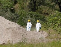 Considera que la identificación de víctimas debe ser una prioridad, ya que deben ser devueltas a sus familias. EFE / ARCHIVO