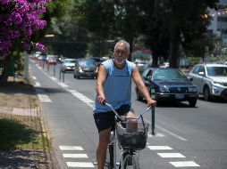 Diversos manuales condicen que las ciclovías deben ir al lado derecho de las avenidas separadas de los autos con segregadores. EL INFORMADOR / ARCHIVO