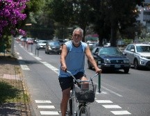 Diversos manuales condicen que las ciclovías deben ir al lado derecho de las avenidas separadas de los autos con segregadores. EL INFORMADOR / ARCHIVO