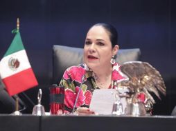 Mónica Fernández anunció un paquete de acciones a seguir para evitar contagios en el recinto legislativo. TWITTER/@monicaferbal