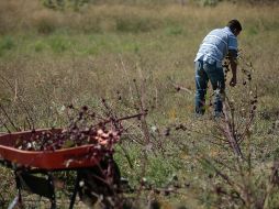 Se abre la investigación luego de que medios de comunicación dieran a conocer los decesos, registrados el 31 de mayo y 5 de junio en el país del norte. EL INFORMADOR/ARCHIVO