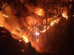 Hasta el día de ayer en el Estado había cinco incendios activos. TWITTER / @SemadetJal