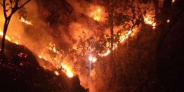 Bomberos extinguen incendio en La Primavera