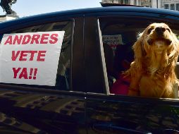 El titular del Ejecutivo federal asegura que su gobierno no está construyendo una dictadura. EFE / J. Núñez