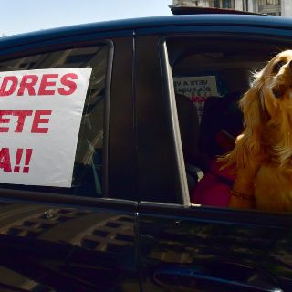A pesar de protestas, mayoría de mexicanos me apoya: López Obrador
