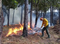 En la Entidad se registraron 536 incendios este año y una afectación de 28 mil 065 hectáreas. TWITTER/ @SemadetJal