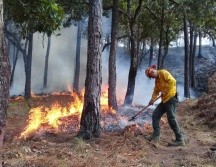 En la Entidad se registraron 536 incendios este año y una afectación de 28 mil 065 hectáreas. TWITTER/ @SemadetJal