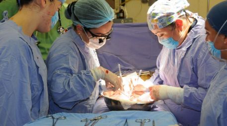 Virus frena trasplantes: 5 mil 533 afectados en Jalisco