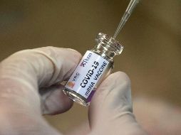 Prototipo de vacuna desarrollado por el Chula Vaccine Research Center, en Tailandia. AP/S. Lalit