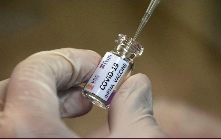 Una decena de vacunas diferentes están ya en diversas etapas de pruebas. AP/ARCHIVO