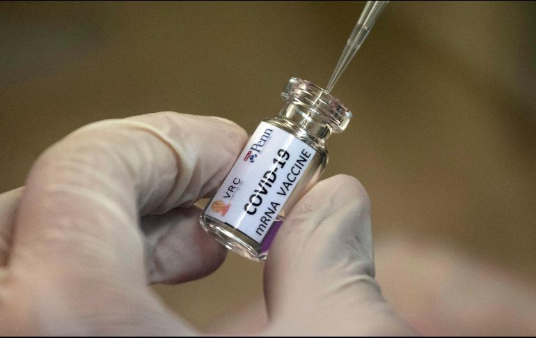 Actualmente, hay alrededor de 200 grupos trabajando en todo el mundo en busca de una vacuna. AP/ARCHIVO