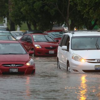 Tormenta vespertina deja árboles y espectacular caído en la ZMG