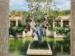 El ambiente en Banyan Tree Mayakoba es sensacional. ESPECIAL