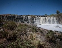 El presidente de la Comisión Estatal de Derechos Humanos dijo que ya se ha solicitado información a todas las autoridades involucradas sobre la situación del Río Santiago. EL INFORMADOR / ARCHIVO