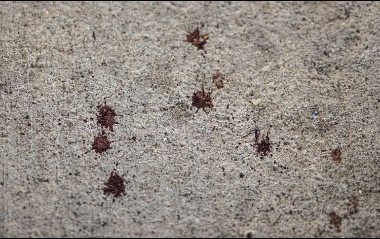 El percance comenzó poco antes de la medianoche en el moderno vecindario Uptown de Minneapolis. AFP / S. Maturen