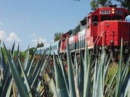 ORIGINAL. El viaje al municipio de Tequila, Jalisco impulsó el desarrollo económico de la región. ARCHIVO