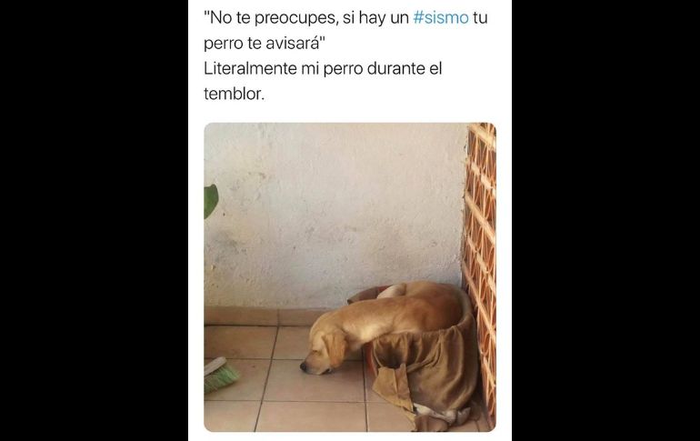 Brotan memes tras el fuerte sismo de hoy en Oaxaca que se sintió en CDMX