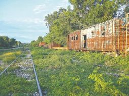 Integrantes de varias comunidades Ch'ol interpusieron un amparo en el que argumentaron violaciones a su derecho a la salud, así como afectaciones ambientales. SUN/ARCHIVO