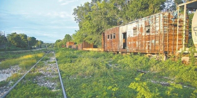 Juez suspende obras del Tren Maya en tramo de Palenque, Chiapas