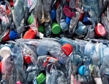 En Alemania, hasta el 20% de la basura recogida en parques y otros espacios públicos son plásticos de un sólo uso. EFE / ARCHIVO