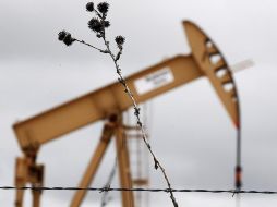 La semana pasada, las reservas comerciales de crudo aumentaron 1.4 millones de barriles en Estados Unidos para ubicarse en 540.5 mb. EFE/ARCHIVO