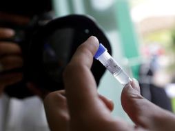 Ciudadanos han denunciado que el Laboratorio Nacional demora hasta ocho días en dar los resultados de las pruebas. EFE/H. Simanjuntak