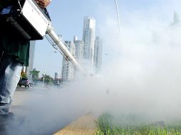 Crece dengue, pero reducen fondo para combatirlo