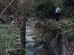 Protección Civil del Estado recibió cerca de 200 reportes de cortos circuitos, árboles caídos, cables colgando, objetos peligrosos por caer, así como caídas de postes y bardas. EL INFORMADOR / ARCHIVO