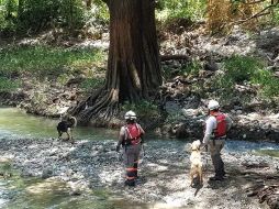 Elementos de Protección Civil participaron en la búsqueda. TWITTER@PC_NuevoLeon