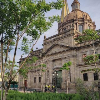 Concluyen "Museo de árboles" en Plaza de Armas