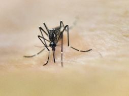 Jocotepec se encuentra en tercer lugar de los municipios con mayor tasa de incidencia. AFP/ARCHIVO