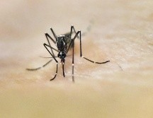 Jocotepec se encuentra en tercer lugar de los municipios con mayor tasa de incidencia. AFP/ARCHIVO