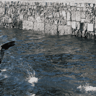 ¿Por qué vamos perdiendo la lucha contra el cambio climático?