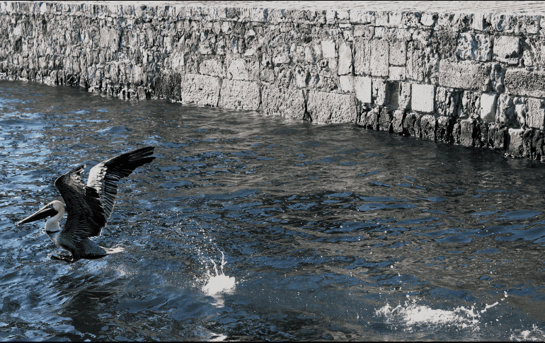 Los acuerdos internacionales en pro del medio ambiente han dejado mucho que desear y han planteado objetivos cómodos y poco ambiciosos. ESPECIAL/Alejandra Nava