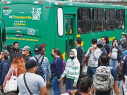 En tres años, camioneros acumulan una bolsa de subsidios por mil MDP