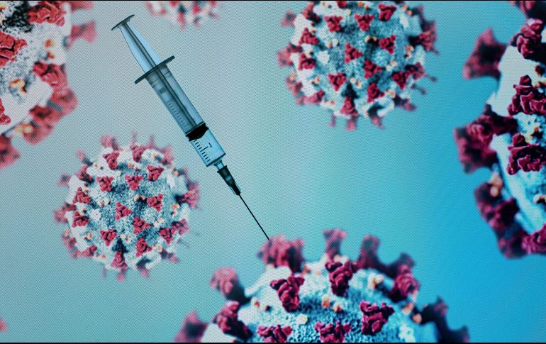 Al 28 de junio se reportan 17 ensayos de vacunas en evaluación clínica y 131 candidatos de vacunas en evaluación preclínica. AFP/ARCHIVO