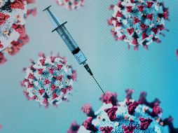 Al 28 de junio se reportan 17 ensayos de vacunas en evaluación clínica y 131 candidatos de vacunas en evaluación preclínica. AFP/ARCHIVO