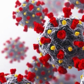 Coronavirus: ¿ha perdido agresividad el SARS-CoV-2?