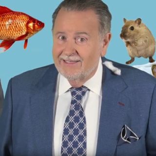 Raúl de Molina hace un llamado para proteger a los animales