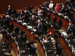 Aspectos generales de la sesión extraordinaria que se celebra en la Cámara de Diputados este martes. EFE/S. Gutiérrez