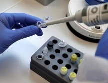 Guadalajara, Tlaquepaque, Zapopan y Puerto Vallarta concentran la mayor cantidad de muertes. EFE/R. Wittek