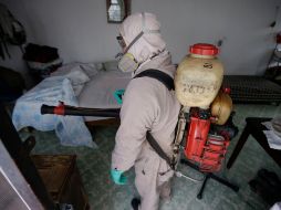 Ante la enfermedad, la Secretaría de Salud Jalisco desarrolla nuevas alternativas de fumigación y puntos de hidratación. EL INFORMADOR / ARCHIVO