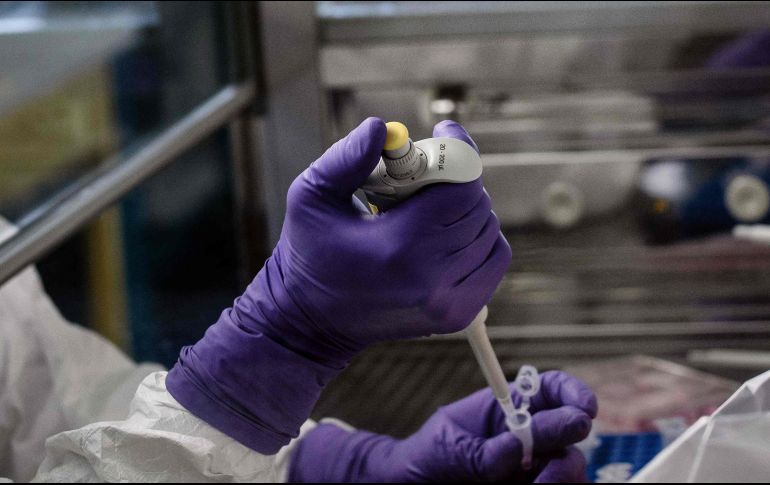 El proyecto también recibirá apoyo sobre propiedad industrial e intelectual. AFP/ARCHIVO