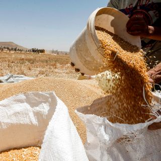 Baja de aranceles, entre los beneficios del T-MEC: Sader