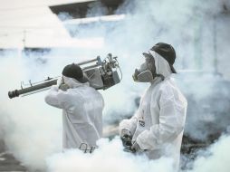 Jalisco ya desbancó a Veracruz en casos de dengue en lo que va de este año. Además, la SSJ informó que 2019 cerró con 108 decesos por esta enfermedad y no con 49, como originalmente se había reportado. EL INFORMADOR/F. Atilano