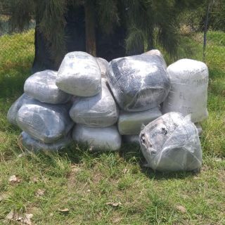 Decomisan 270 kilos de mariguana en Tequila