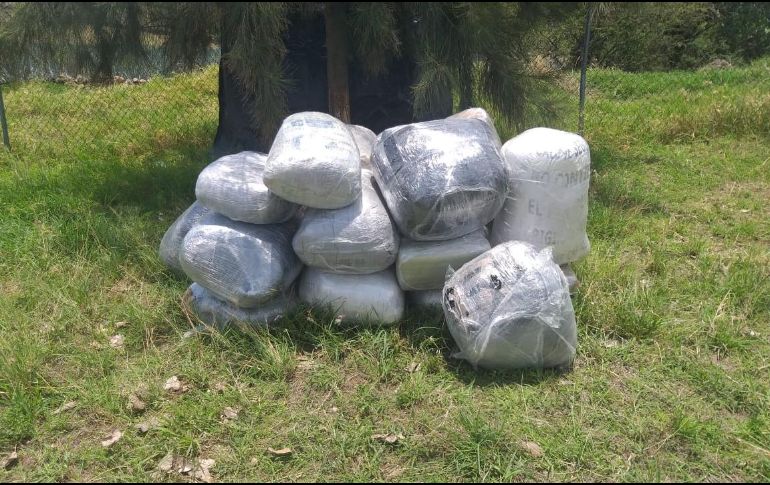 La droga fue puesta a disposición del Ministerio Público Federal y se inició una carpeta de investigación. ESPECIAL /