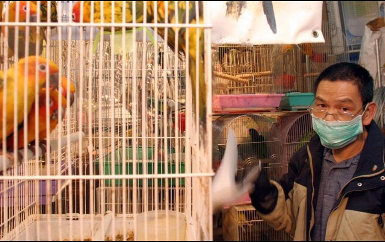 Las aves vivas criadas en jaulas son abundantes en todo China en los mercados agrícolas al por mayor y en los mercados de productos frescos. EFE/ARCHIVO