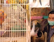 Las aves vivas criadas en jaulas son abundantes en todo China en los mercados agrícolas al por mayor y en los mercados de productos frescos. EFE/ARCHIVO